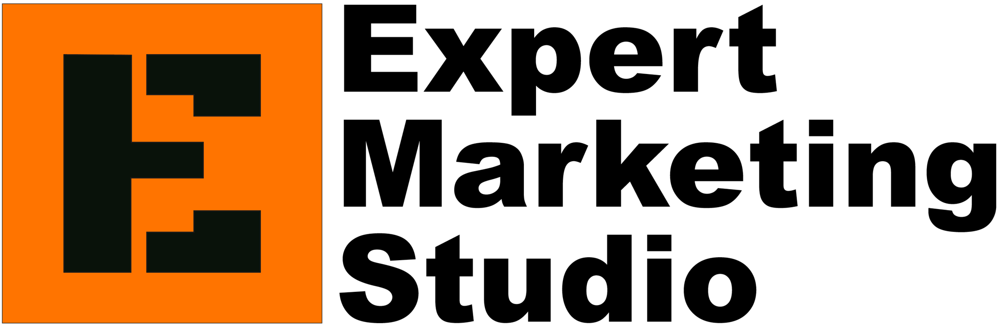 Expert Marketing Studio logo